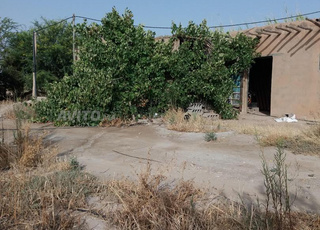 Ferme à côté de Tamansourt