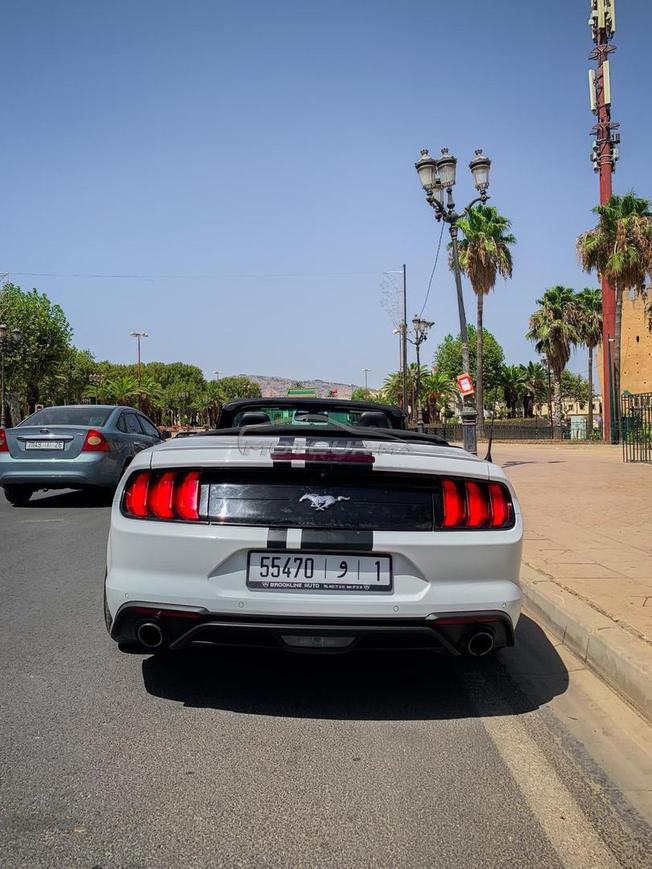 Ford Mustang Eco-Boost Cabriolet 