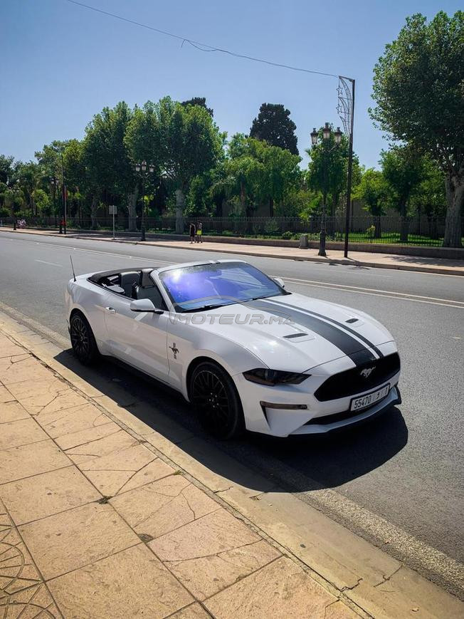 Ford Mustang Eco-Boost Cabriolet 