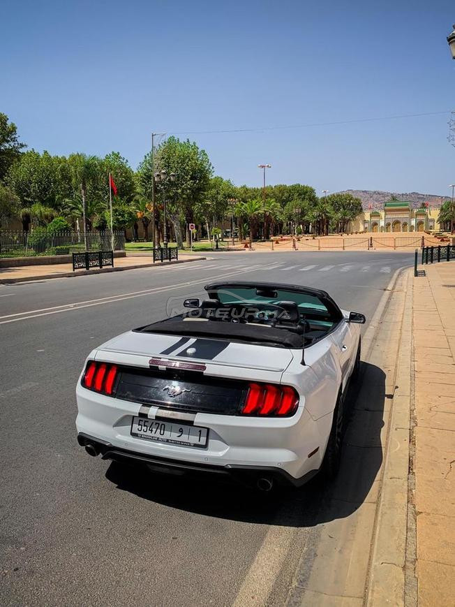 Ford Mustang Eco-Boost Cabriolet 