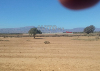 Terrain de 5000 m carè a vendre a issen