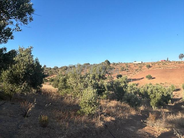 Terrain titré 1ha à côté de Rabat à ne pas rater