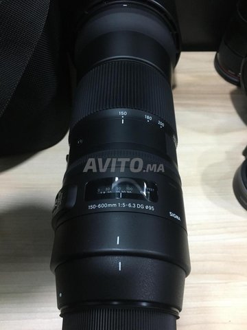 Sigma 150-600 F5 DC OS HSM contemporary Canon