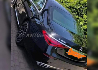 chauffeur professionnel 