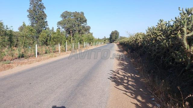 Ter titre 3ha sidi azzouz sehoul salé