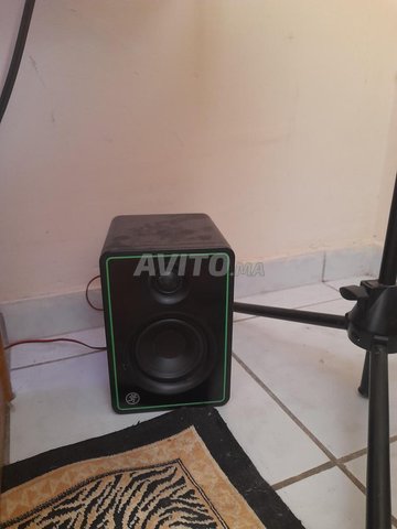 Enceintes monitoring 