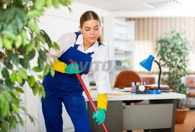 Agence femme de ménage cuisinière nounou 