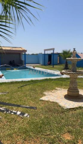 هكتار وبئر مسيج على الطريق محفض 8كمً - 2