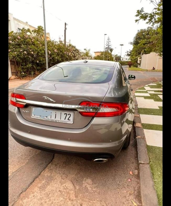 Jaguar XF Excellent état  Dariba 1500