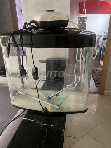 Aquarium en bon état à vendre