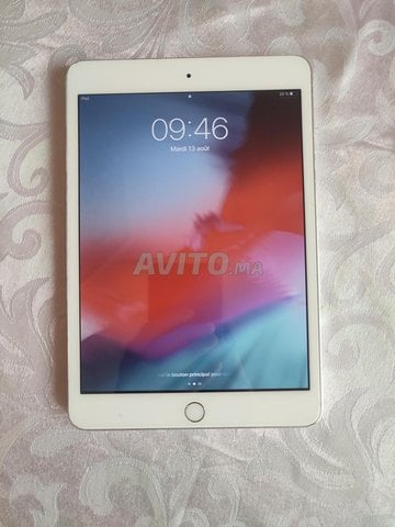 iPad 3 mini 