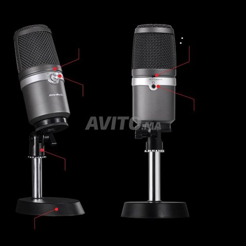 Microphone professionnel 
