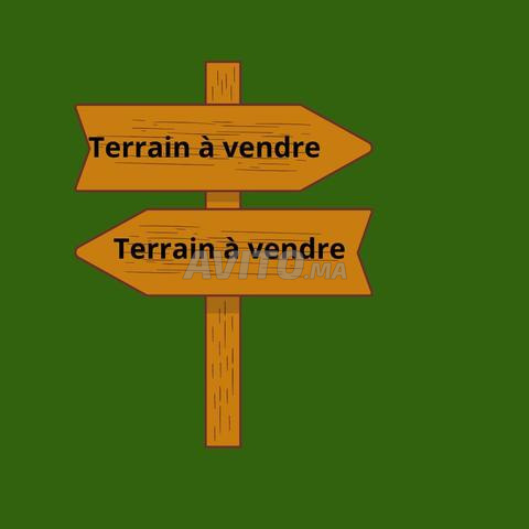 Terrain à Vendre à Californie - Casablanca