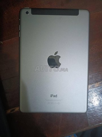 ipad mini 2 4g