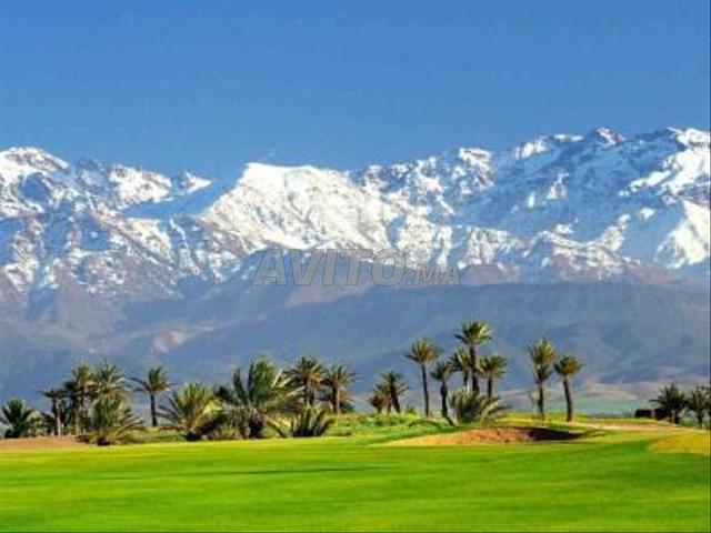 Terrain titré d’un hectare à vendre (SD1)