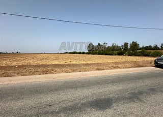 3,25 ha agricole titré sur la route à Benslimane