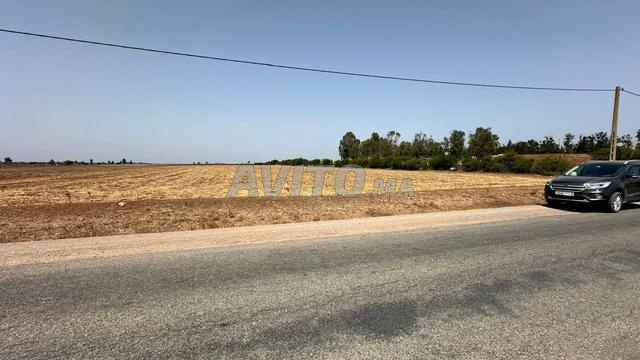 3.25 هكتار من الأراضي الزراعية المسجلة على الطريق في بنسليمان