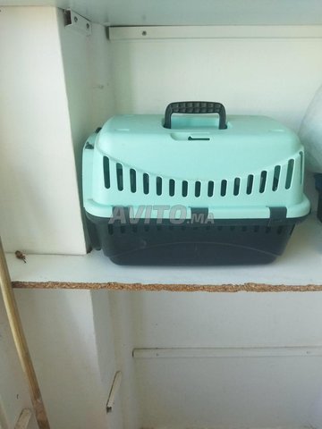 Cage de transport Chat