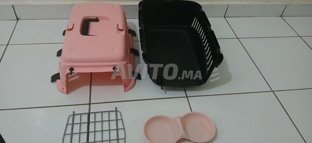 sac transporteur et assiete à manger pour 🐱 