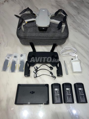 Dji mavic mini flymore combo 