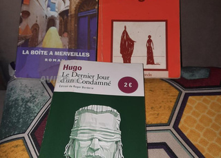 programme 1 bac science