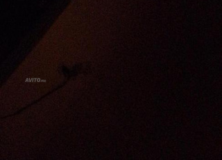 شقق للبيع 15 m² في سطات