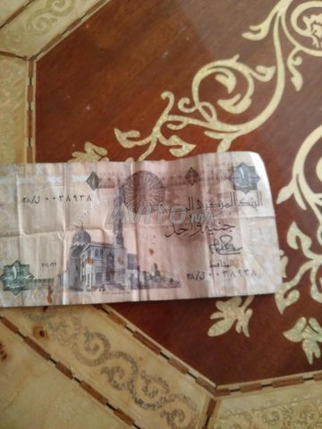 1 pound Égypte 