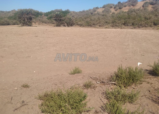 الولجة سيدي بونعيم