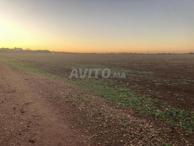 أرض فلاحية محفظة قرب الطريق الرئيسي فاس–الحاجب - 2