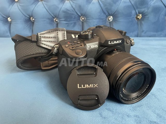 Panasonic GH5