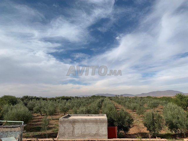 Ferme titrée d'un hectare à Bouros