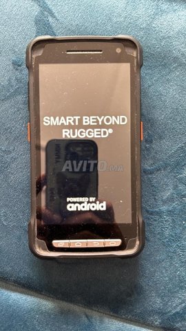 Point mobile (scanner)