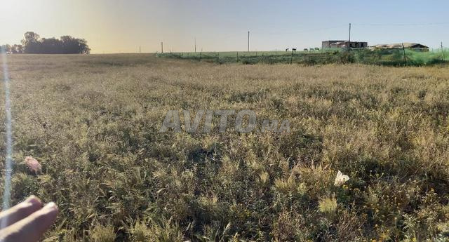 أرض محفضة 9000متر مع دراسة مياه جوفية