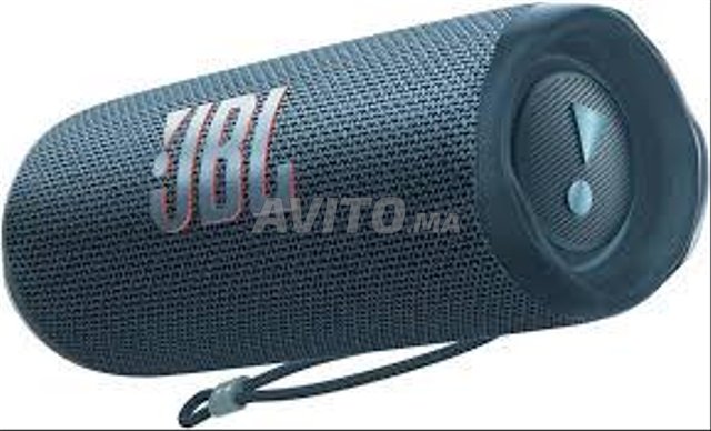 jbl flip 6 