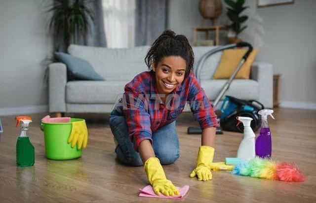 Agence femme de ménage cuisinière nounou 