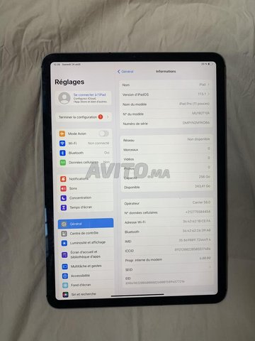 Ipad pro 11 carte sim wifi 256 Go Officielle 2018