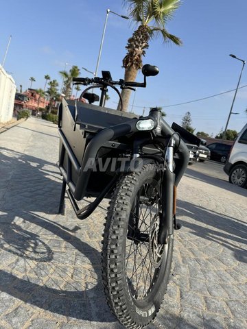 Vélo cargo Riese & Muller