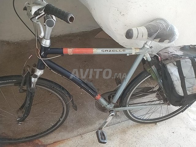 Avito velo gazelle hotsell