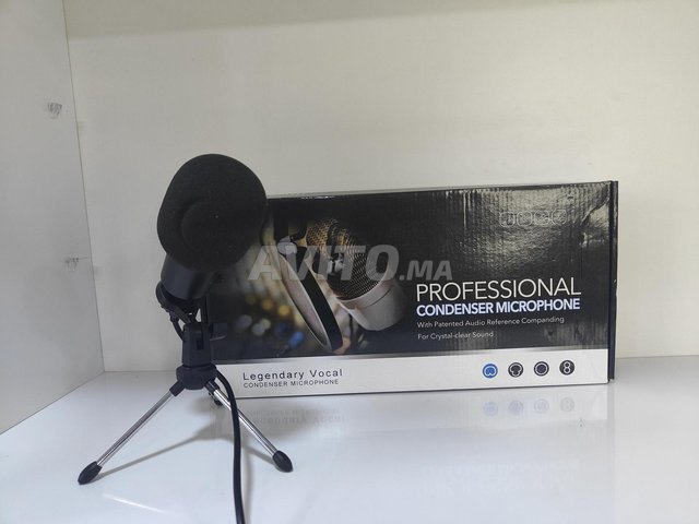 Professional Condenser Microphone With Stand