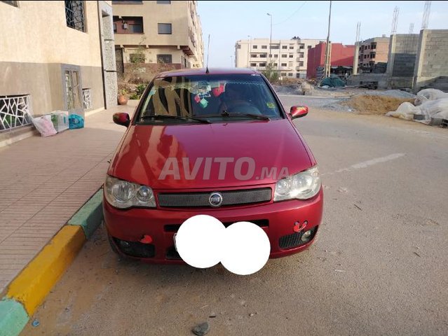 Palio brasile baqa nqia 