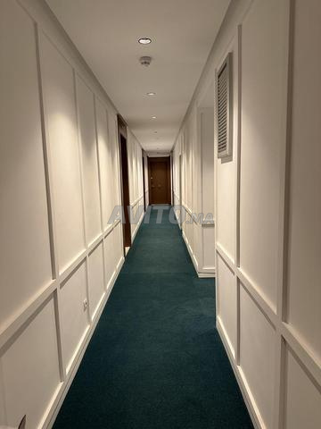 Location Studio à Palmier courte durée merveilleux - image 3