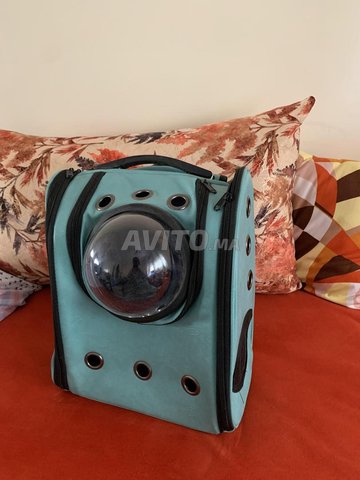 Sac à dos pour chat pour transport extérieur