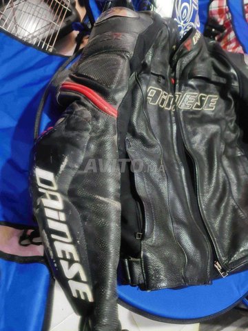 jacket cuir Dainese avec dorsal 