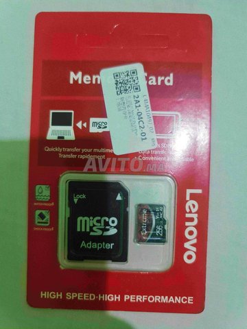 carte mémoire 256 Go