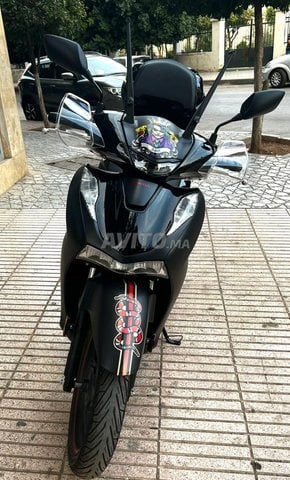 Sh honda 2024