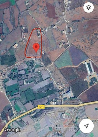 Terrain agricol - أرض فلاحية