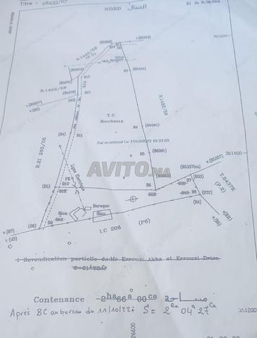 Terrain agricol - أرض فلاحية - 2