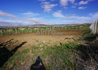 Terrain à vendre 2000 mètres carrés à tetouan
