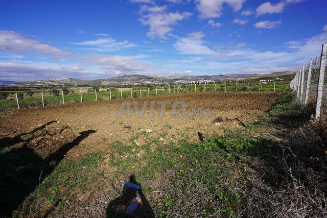 Terrain à vendre 2000 mètres carrés à tetouan