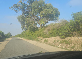 ارض فلاحية للبيع 